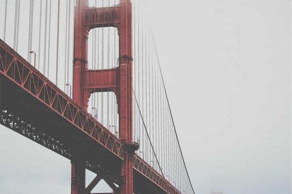 White T-Shirts — Unbranded for Printing